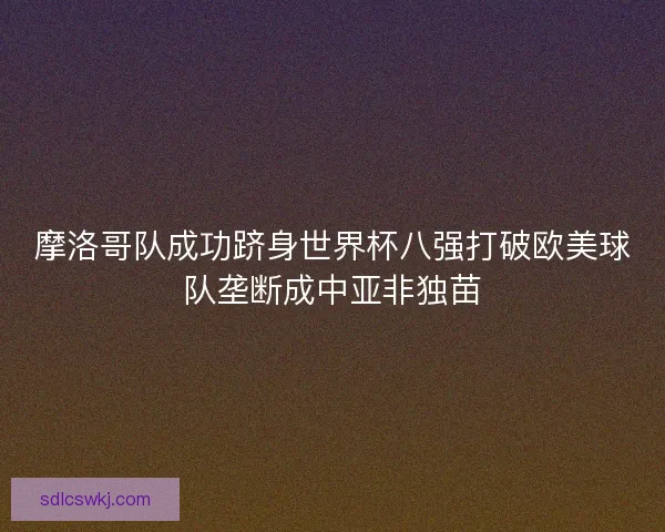 摩洛哥队成功跻身世界杯八强打破欧美球队垄断成中亚非独苗